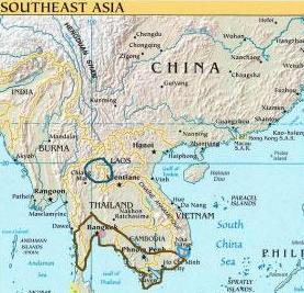 Петушки (уход, кормление, размножение, виды, совместимость) Петушки (уход, кормление, размножение, виды, совместимость)