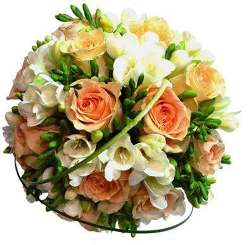 Флористика Флористика