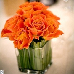 Флористика Флористика