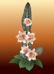 Флористические композиции Флористические композиции