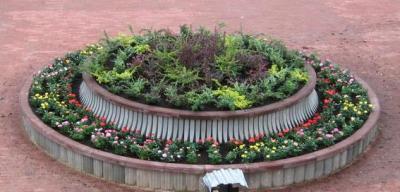 Клумба Клумба