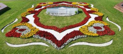 Клумба Клумба