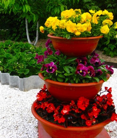 Клумба Клумба