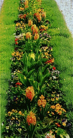 Рабатка Рабатка