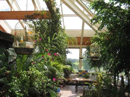 Зимний сад Зимний сад