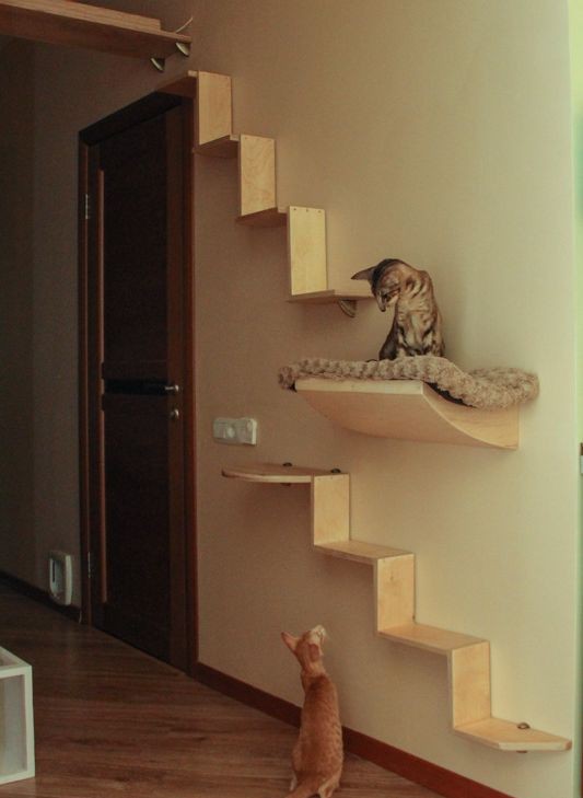 Увеличение жизненного пространства для кошек в доме или как «разделить территории» Увеличение жизненного пространства для кошек в доме или как «разделить территории»