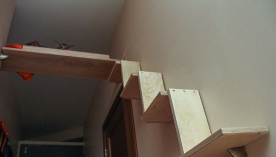 Увеличение жизненного пространства для кошек в доме или как «разделить территории» Увеличение жизненного пространства для кошек в доме или как «разделить территории»