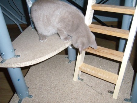 Дом для кошки своими руками Дом для кошки своими руками