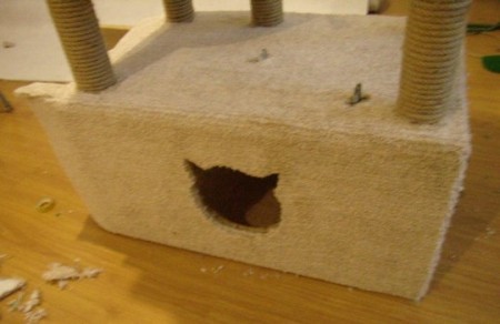 Дом для кошки своими руками Дом для кошки своими руками