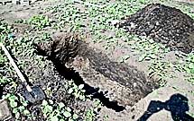 Мангал из кирпича своими руками  (пример монтажа с фото и порядовкой)