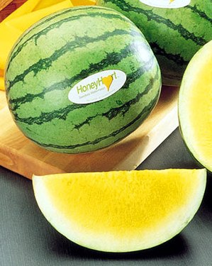 Сорта арбузов Сорта арбузов