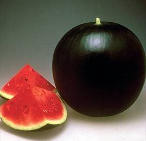 Сорта арбузов Сорта арбузов