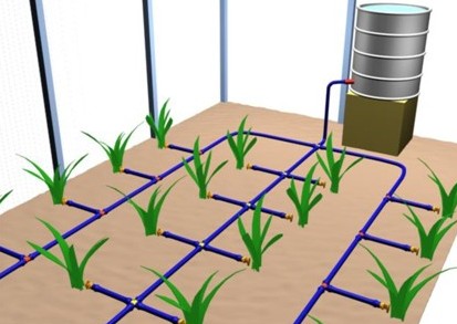 Капельное орошение Капельное орошение