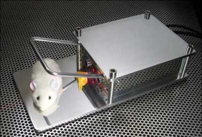 Лучшая мышеловка Лучшая мышеловка