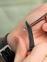 Как привить плодовое дерево Как привить плодовое дерево