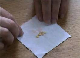 Для ускорения прорастания семян обычно их замачивают Для ускорения прорастания семян обычно их замачивают