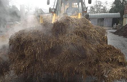Удобрения для растений Удобрения для растений