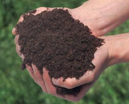 Удобрения для растений Удобрения для растений