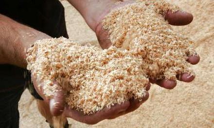 Удобрения для растений Удобрения для растений