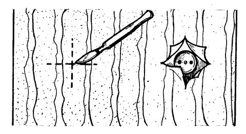 Обклеивание стен обоями Обклеивание стен обоями