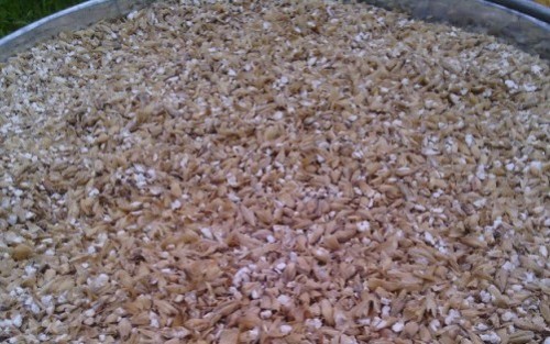 Как сварить пиво дома (в домашних условиях) Как сварить пиво дома (в домашних условиях)