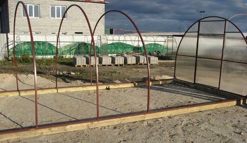 Устанавливаем дуги теплицы Устанавливаем дуги теплицы